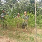 Babinsa Komsos dengan Petani Cabe Di Desa Binaan